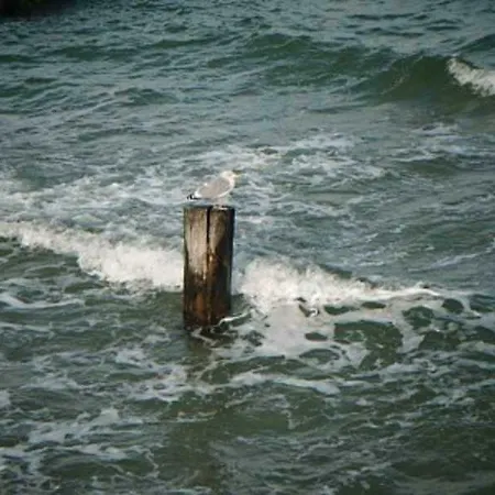 דירה An Der Feuerwache 1 _luett Matten_