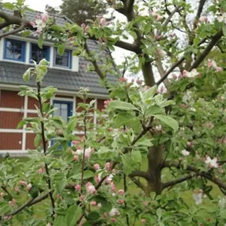 An Der Feuerwache 1 _luett Matten_