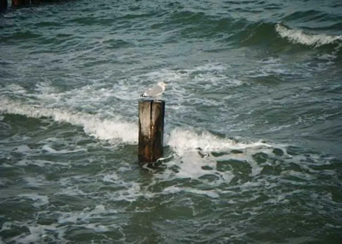 דירה An Der Feuerwache 1 _luett Matten_